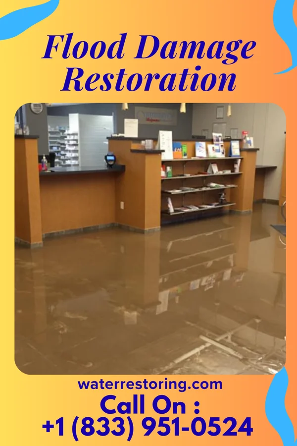 Flood Damage Restoration in Arlington Heights, IL