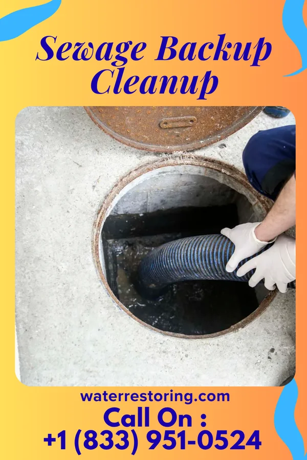 Sewage Backup Cleanup in Arlington Heights, IL